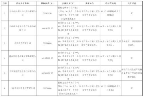 投標文件中的“空行”陷阱 北京信息系統集成服務項目否決案例分析